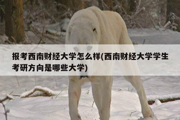 报考西南财经大学怎么样(西南财经大学学生考研方向是哪些大学)