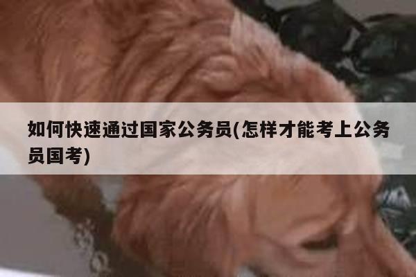 如何快速通过国家公务员(怎样才能考上公务员国考)