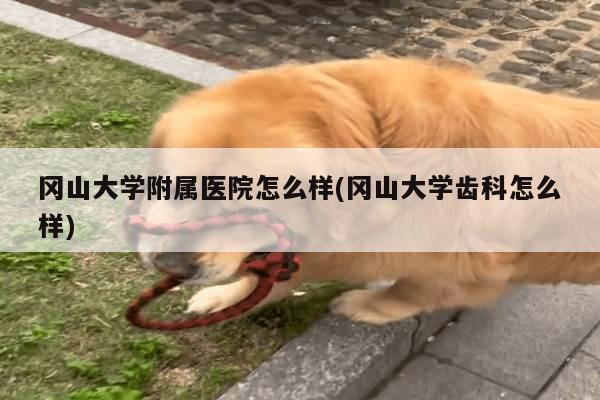 冈山大学附属医院怎么样(冈山大学齿科怎么样)