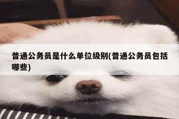 普通公务员是什么单位级别(普通公务员包括哪些)