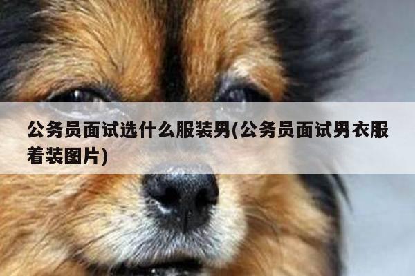 公务员面试选什么服装男(公务员面试男衣服着装图片)
