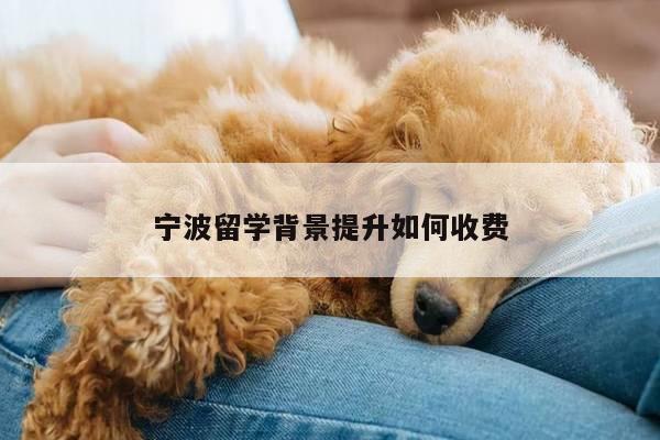 宁波留学背景提升如何收费