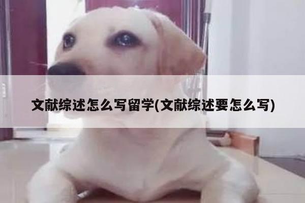 文献综述怎么写留学(文献综述要怎么写)