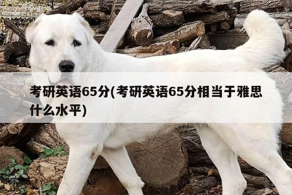 考研英语65分(考研英语65分相当于雅思什么水平)