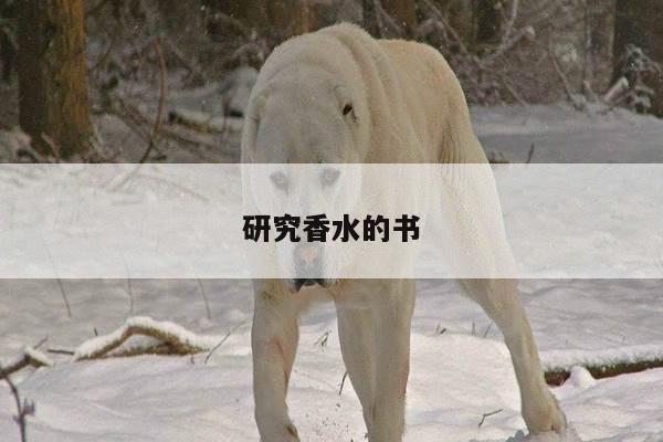 研究香水的书