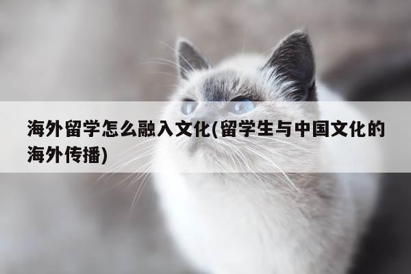 海外留学怎么融入文化(留学生与中国文化的海外传播)