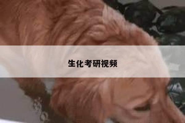 生化考研视频