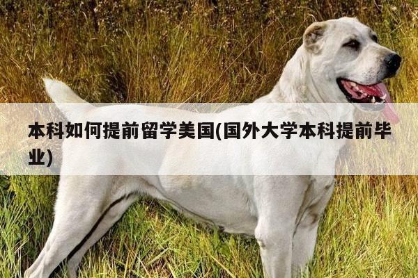 本科如何提前留学美国(国外大学本科提前毕业)