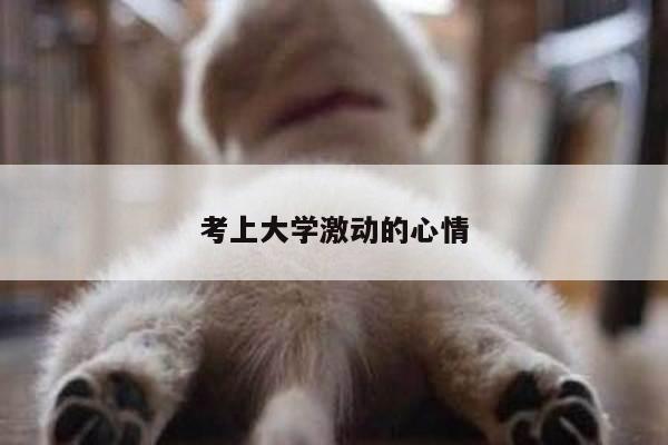 考上大学激动的心情