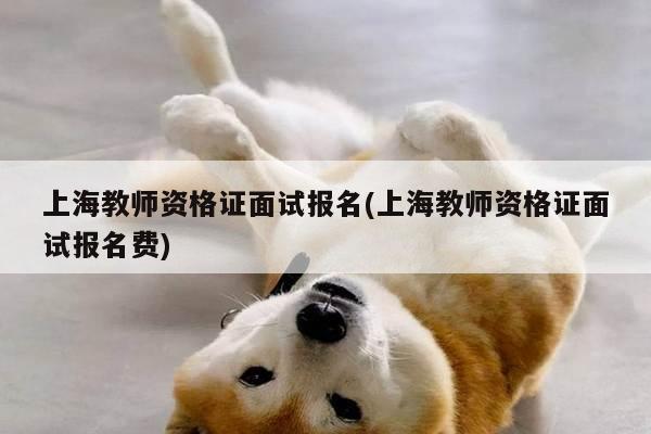 上海教师资格证面试报名(上海教师资格证面试报名费)