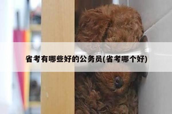 省考有哪些好的公务员(省考哪个好)