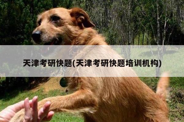 天津考研快题(天津考研快题培训机构)