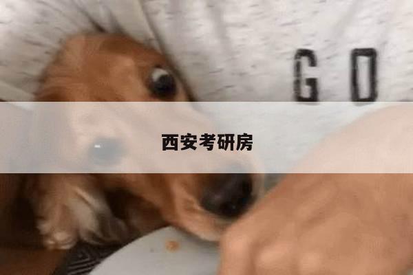 西安考研房