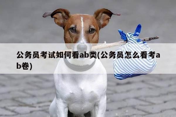 公务员考试如何看ab类(公务员怎么看考ab卷)