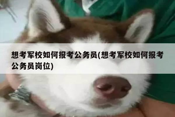 想考军校如何报考公务员(想考军校如何报考公务员岗位)