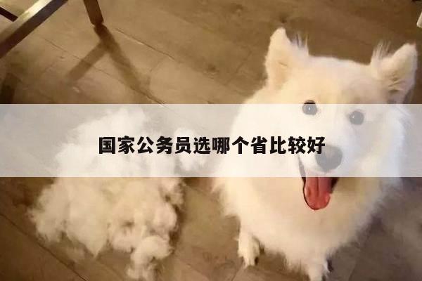 国家公务员选哪个省比较好