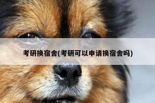 考研换宿舍(考研可以申请换宿舍吗)