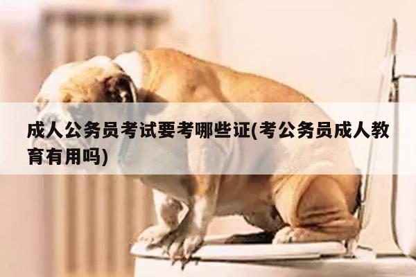 成人公务员考试要考哪些证(考公务员成人教育有用吗)