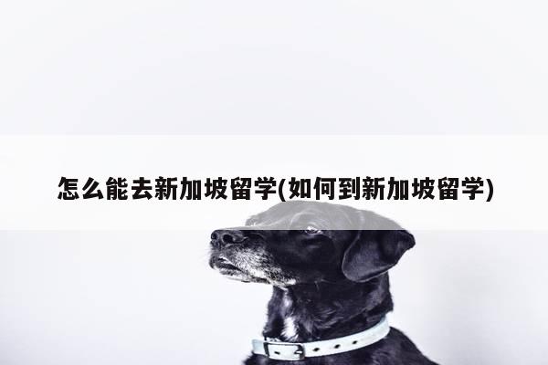 怎么能去新加坡留学(如何到新加坡留学)