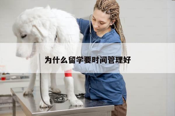 为什么留学要时间管理好