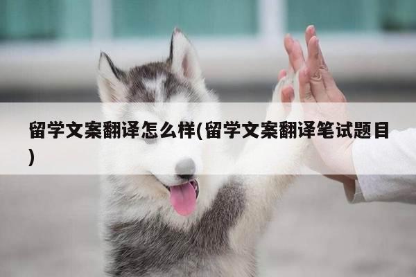 留学文案翻译怎么样(留学文案翻译笔试题目)