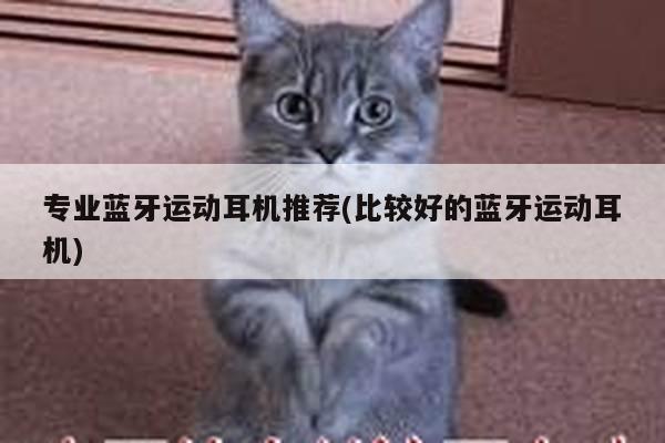 专业蓝牙运动耳机推荐(比较好的蓝牙运动耳机)