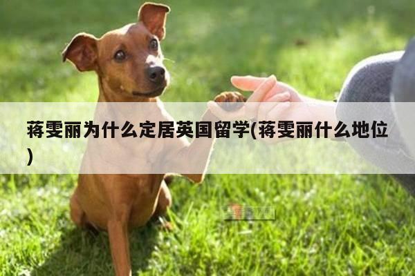 蒋雯丽为什么定居英国留学(蒋雯丽什么地位)