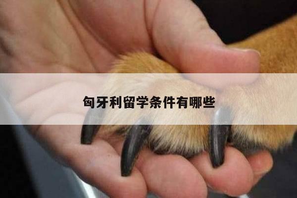 匈牙利留学条件有哪些