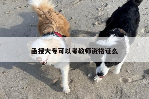 函授大专可以考教师资格证么
