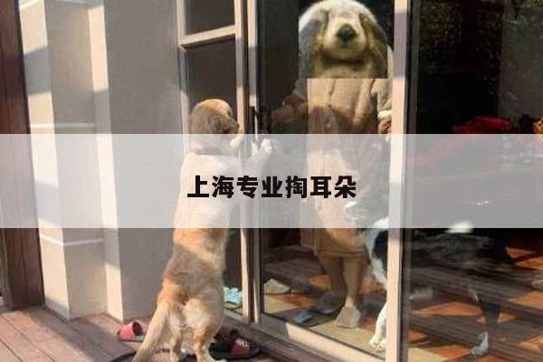 上海专业掏耳朵