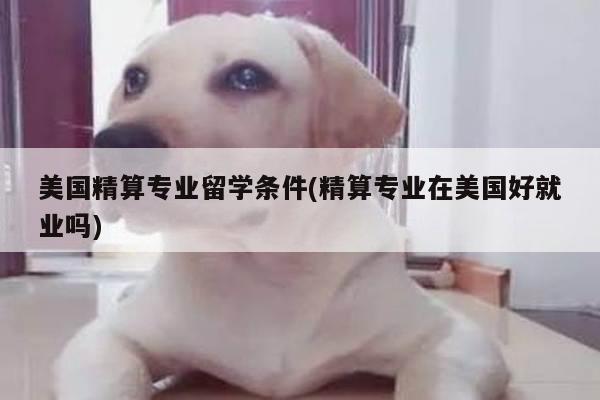 美国精算专业留学条件(精算专业在美国好就业吗)