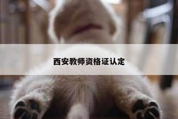 西安教师资格证认定