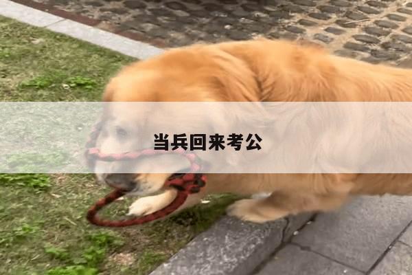 当兵回来考公