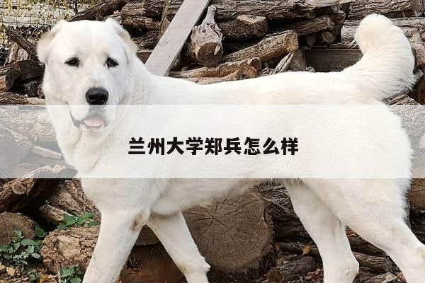 兰州大学郑兵怎么样