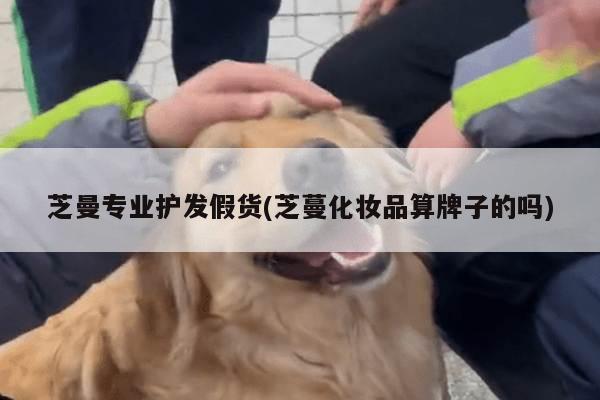 芝曼专业护发假货(芝蔓化妆品算牌子的吗)