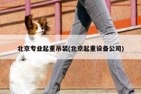 北京专业起重吊装(北京起重设备公司)