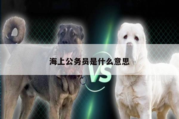 海上公务员是什么意思