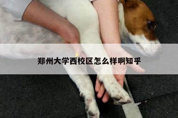 郑州大学西校区怎么样啊知乎