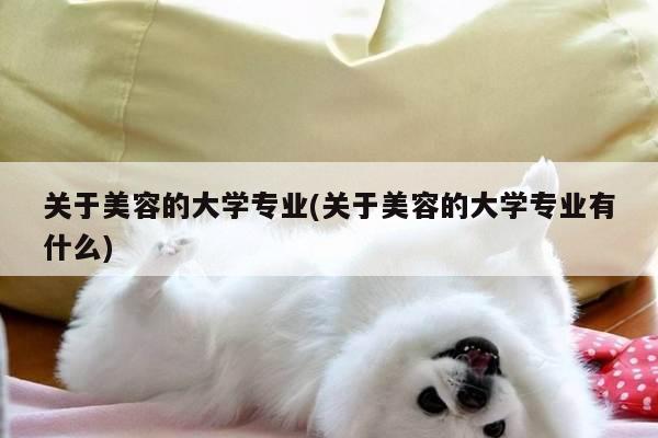 关于美容的大学专业(关于美容的大学专业有什么)