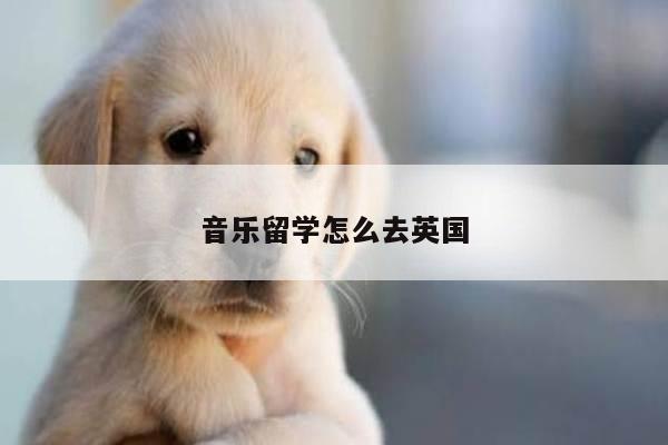 音乐留学怎么去英国