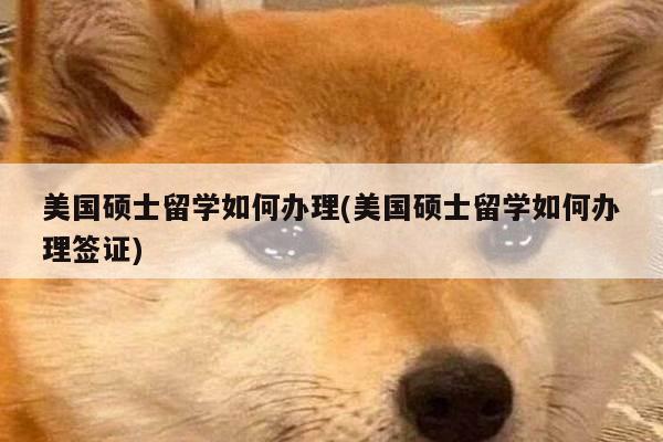 美国硕士留学如何办理(美国硕士留学如何办理签证)