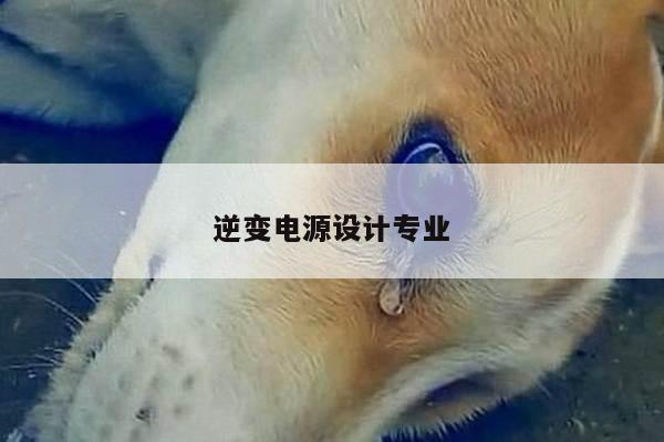 逆变电源设计专业