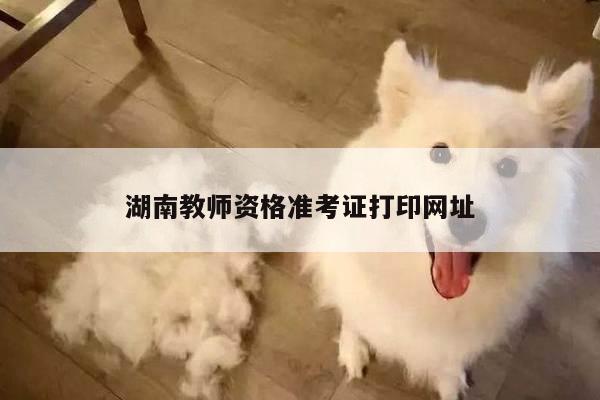 湖南教师资格准考证打印网址