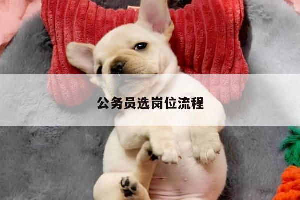 公务员选岗位流程