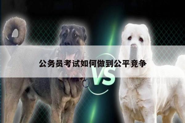 公务员考试如何做到公平竞争