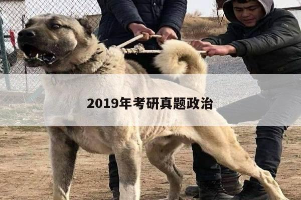 2019年考研真题政治