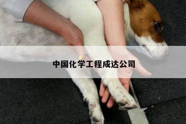 中国化学工程成达公司