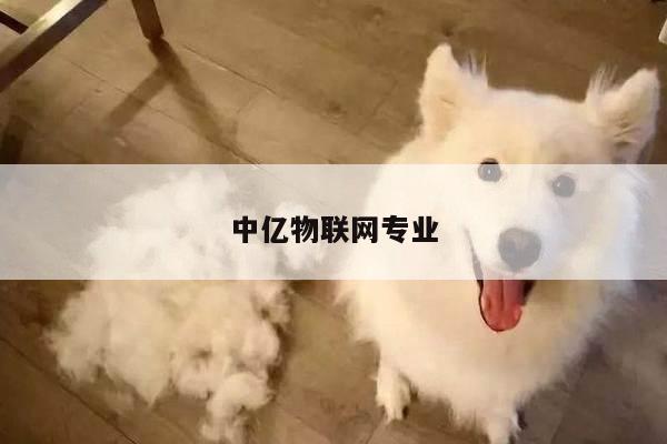 中亿物联网专业