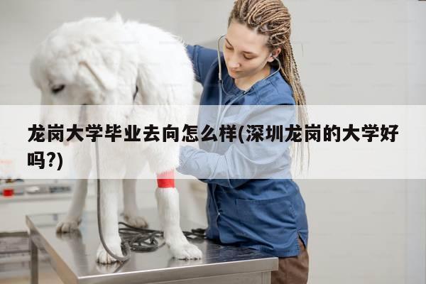 龙岗大学毕业去向怎么样(深圳龙岗的大学好吗?)