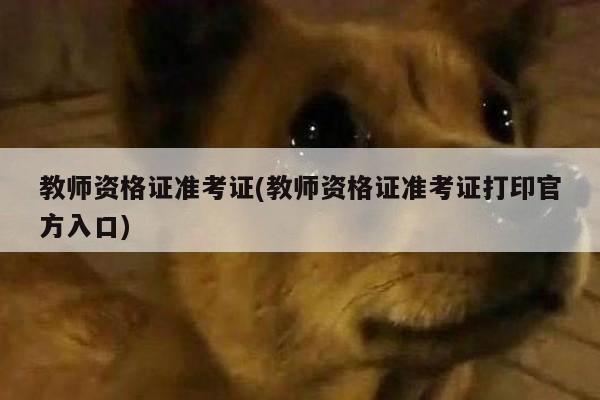 教师资格证准考证(教师资格证准考证打印官方入口)